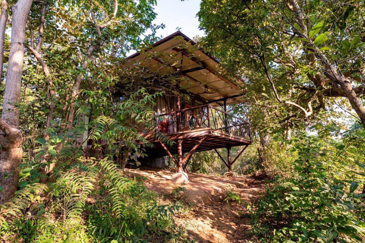 Kanha Jungle Camp Buitenkant foto