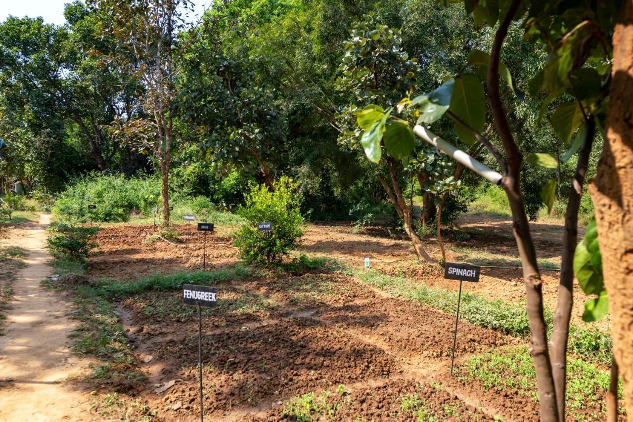 Kanha Jungle Camp Buitenkant foto