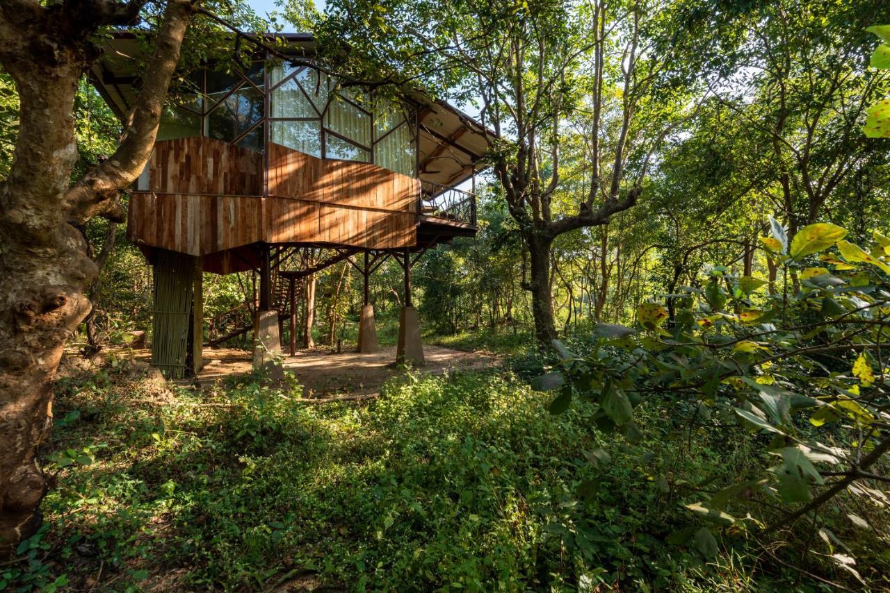 Kanha Jungle Camp Buitenkant foto
